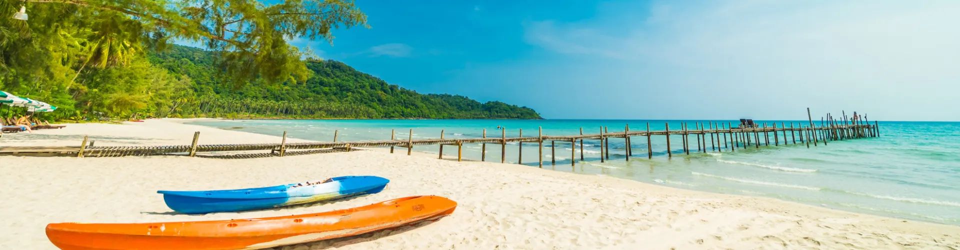 Facial Rejuvenation with MSCs