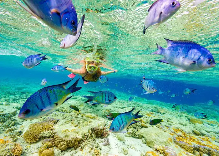 202512301623014_snorkel