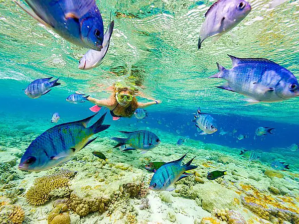 202512301623014_snorkel