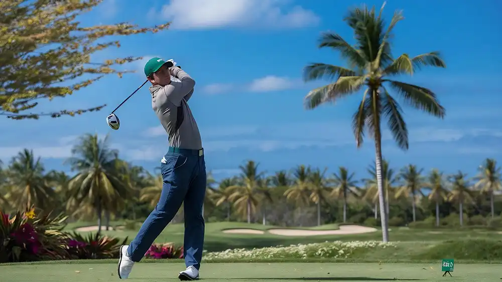 Freepick_indonesia_183871791