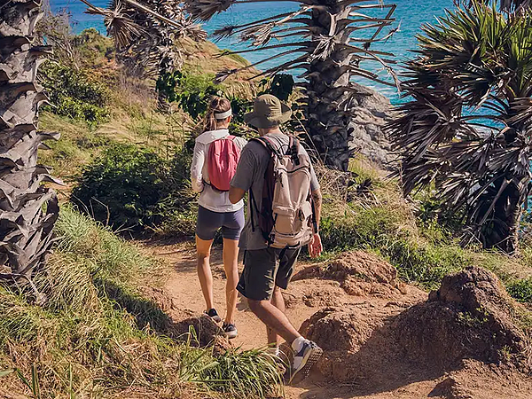 Freepick_ocean_83240542