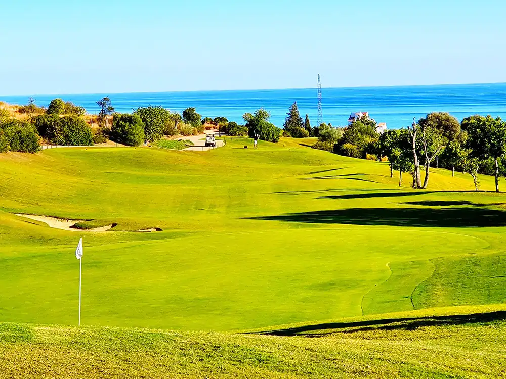 Freepick_sky_114526892