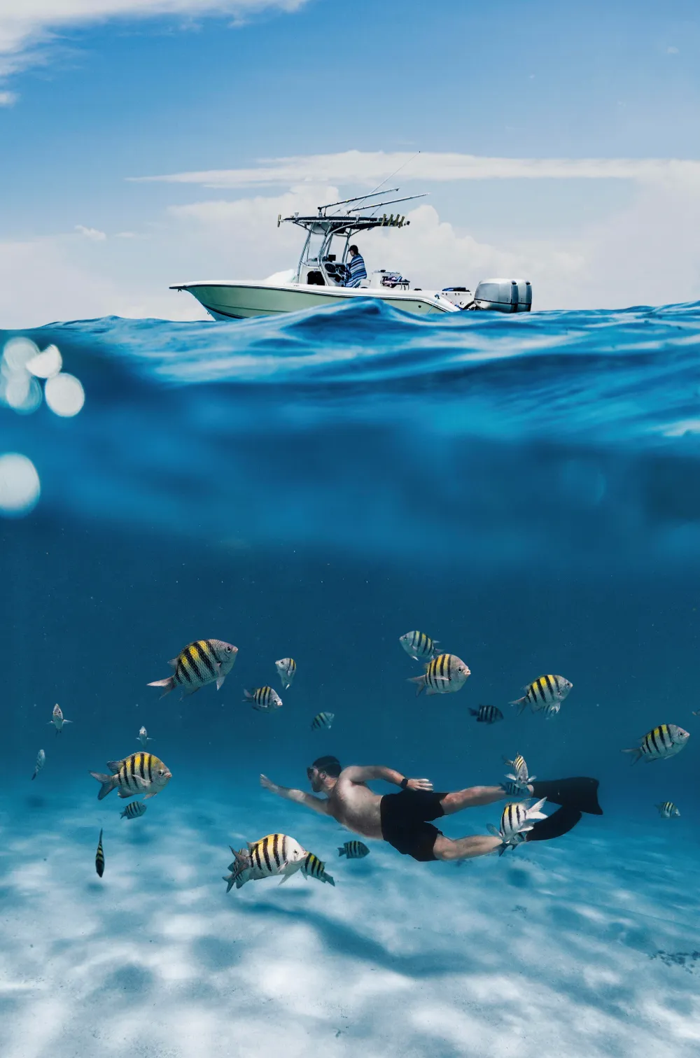 full-shot-man-swimming-with-fish