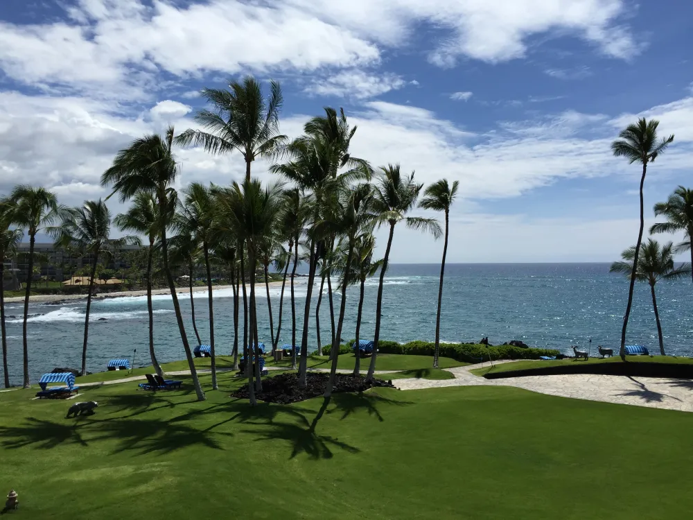 palm-trees-field-by-sea-against-sky